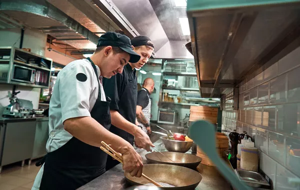 Ayudante de Cocina